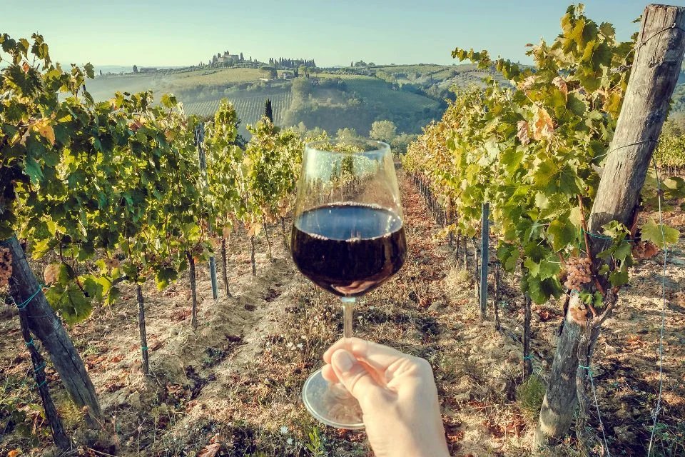 fun in Italy is to clink wine glasses while watching the sun