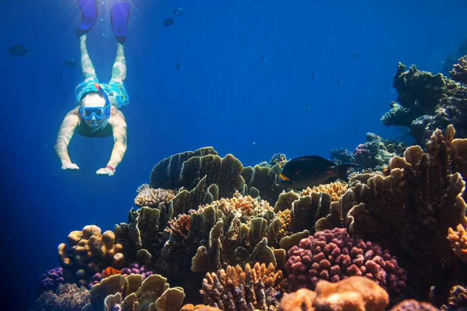 home to colorful coral reefs and an astounding variety of marine life