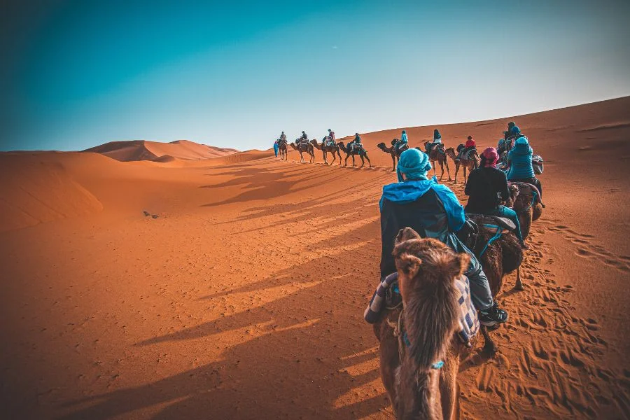 Camel Trek into the Desert