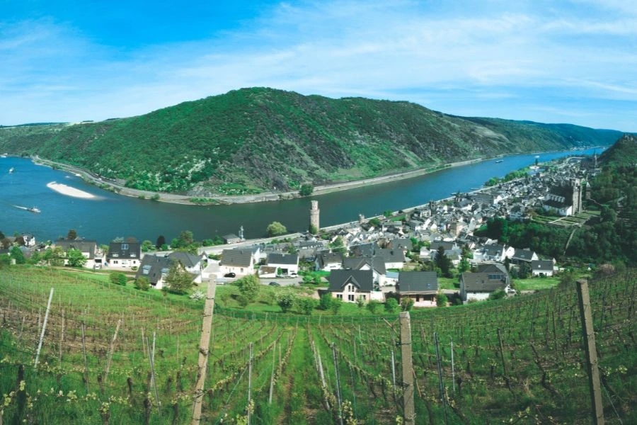 The lovely Rhine Valley is undoubtedly one of Germany's most scenic areas