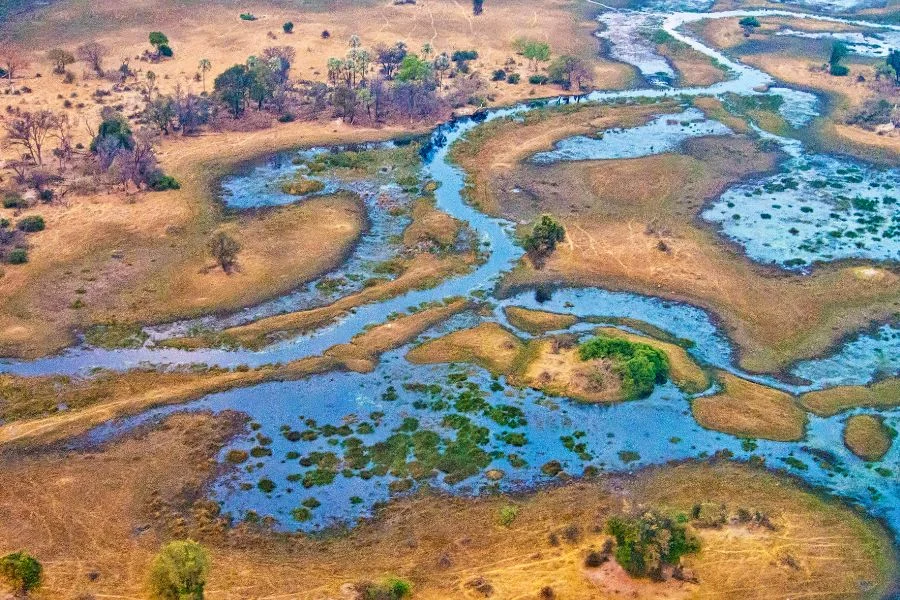 It is the largest inland delta in the world and is 17000 square kilometers in size