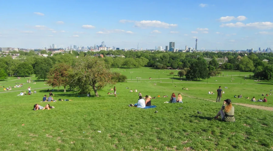 Go for a walk on Primrose Hill in London