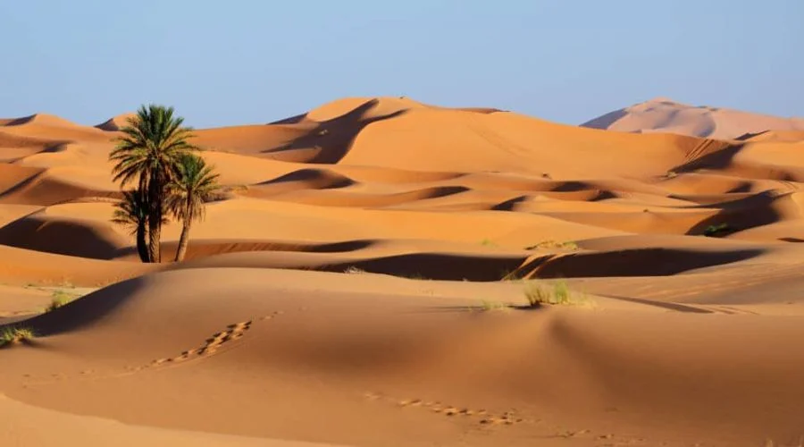 Sahara Desert 