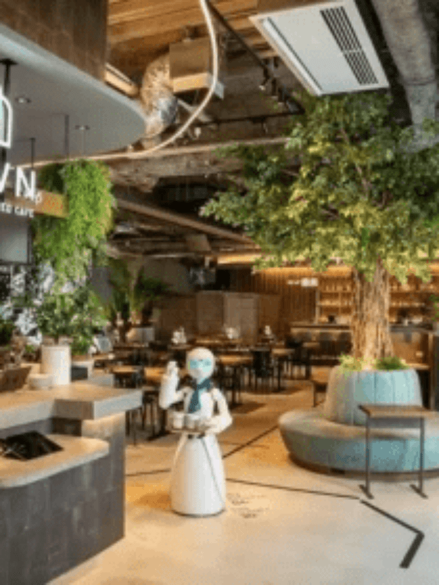 Explore The Hidden Gems Unique Cafes In Japan Trailfollow