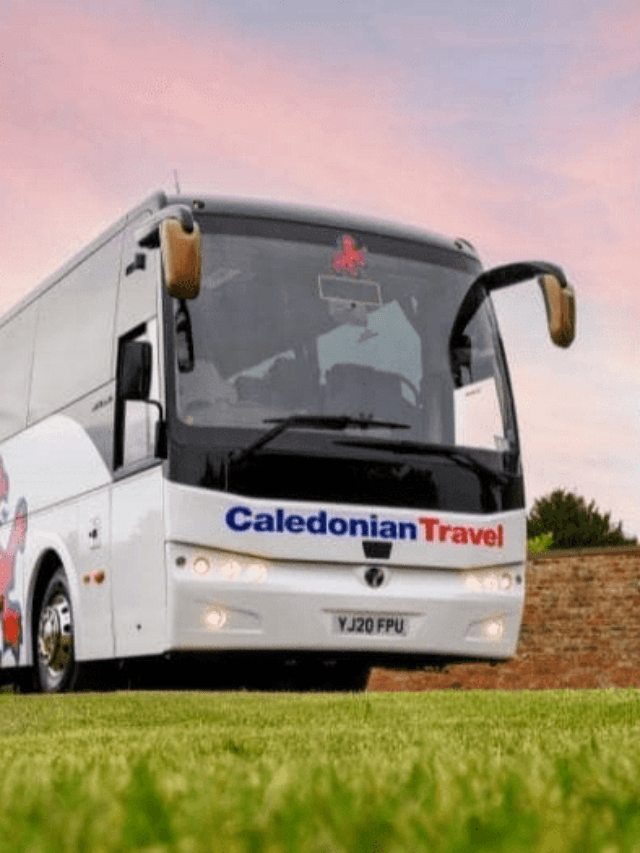 caledonian travel bus seating plan