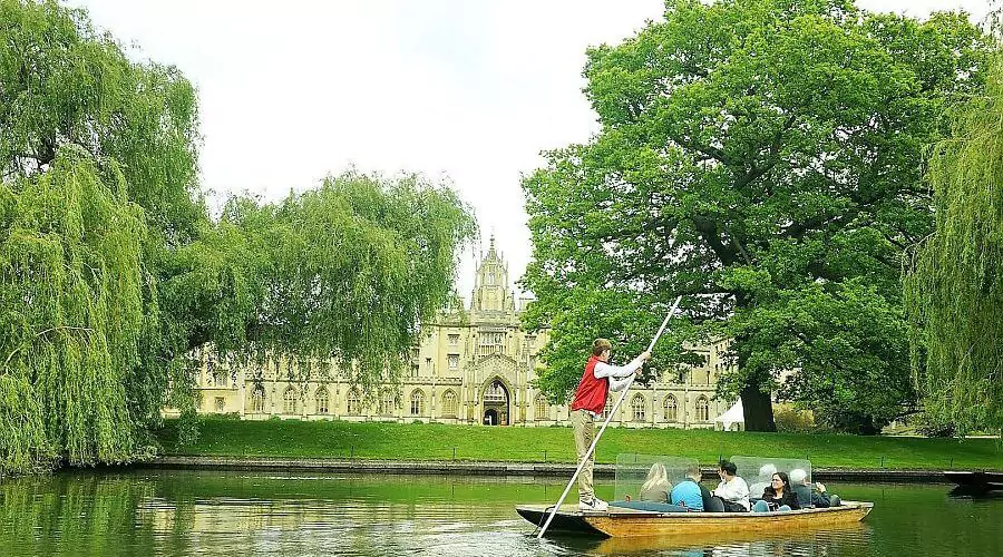 Punting on the River Cam: Riverside Adventures