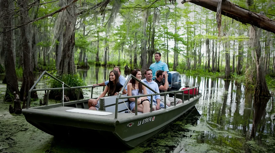 swamp tour new orleans
